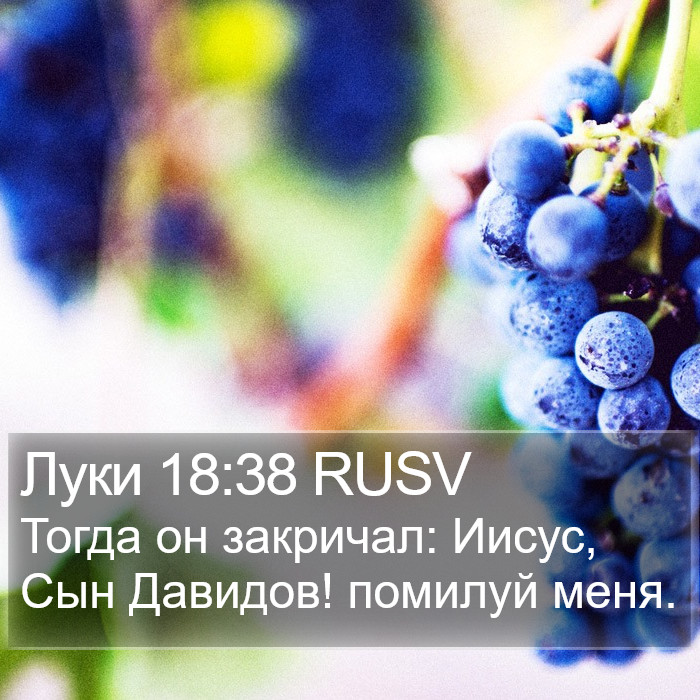 Луки 18:38 RUSV Bible Study