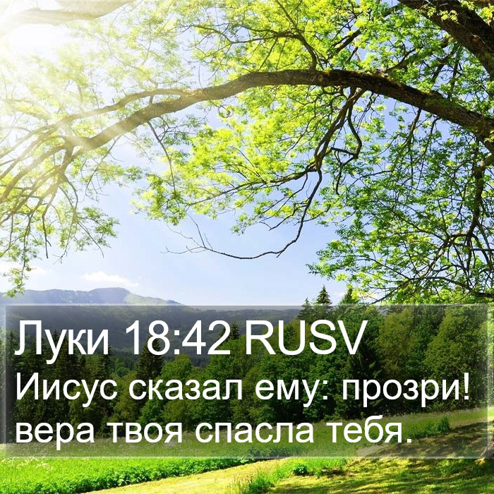 Луки 18:42 RUSV Bible Study