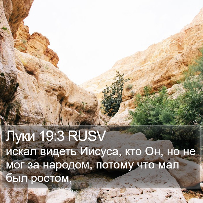 Луки 19:3 RUSV Bible Study