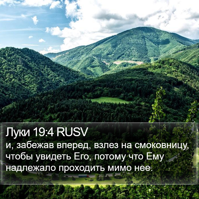 Луки 19:4 RUSV Bible Study