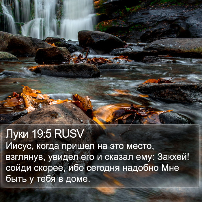 Луки 19:5 RUSV Bible Study