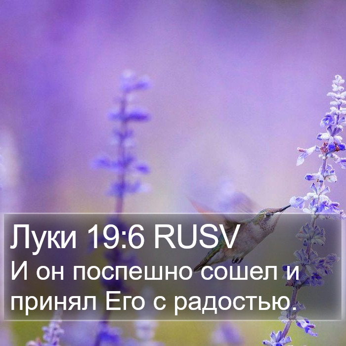 Луки 19:6 RUSV Bible Study