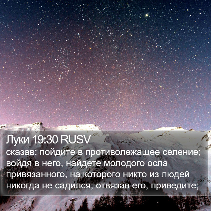 Луки 19:30 RUSV Bible Study