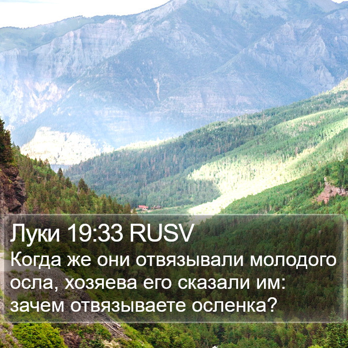 Луки 19:33 RUSV Bible Study