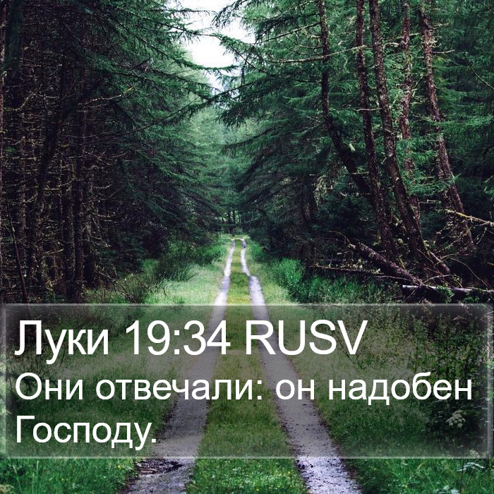 Луки 19:34 RUSV Bible Study