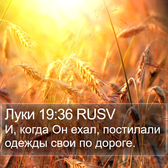 Луки 19:36 RUSV Bible Study