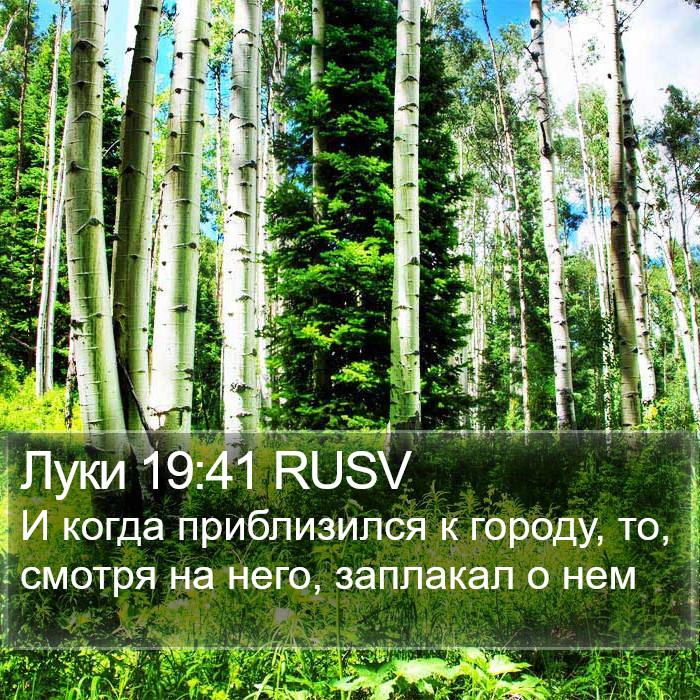 Луки 19:41 RUSV Bible Study