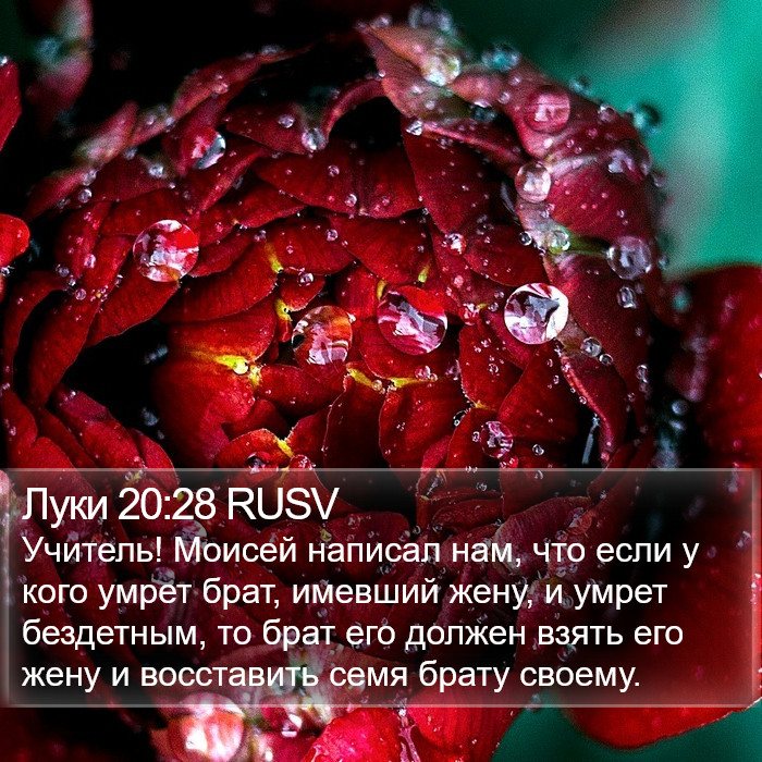 Луки 20:28 RUSV Bible Study