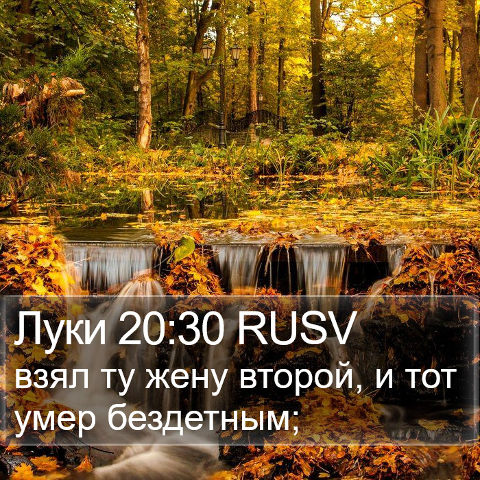 Луки 20:30 RUSV Bible Study