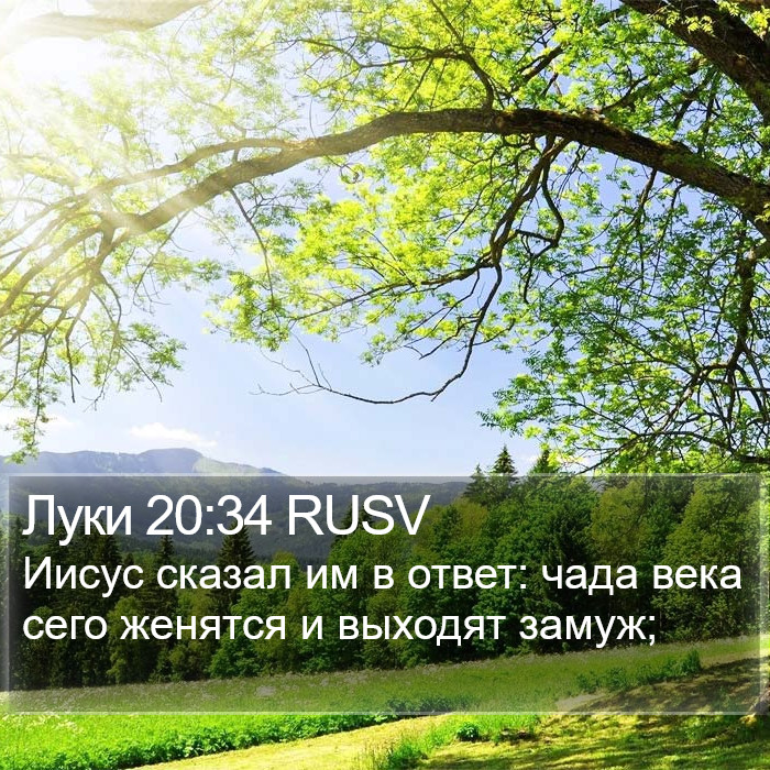 Луки 20:34 RUSV Bible Study