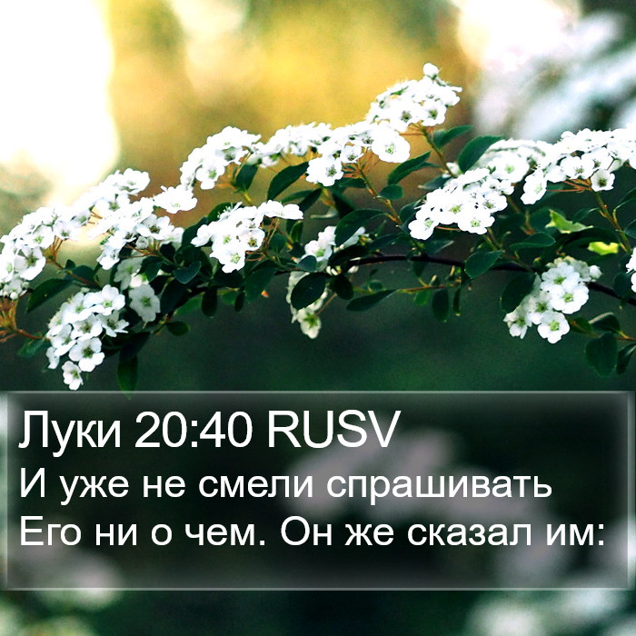 Луки 20:40 RUSV Bible Study