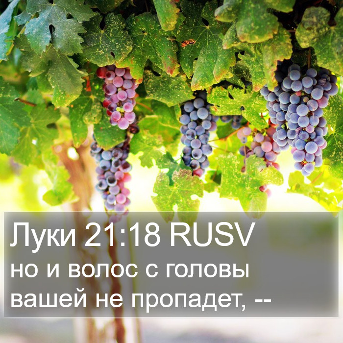 Луки 21:18 RUSV Bible Study