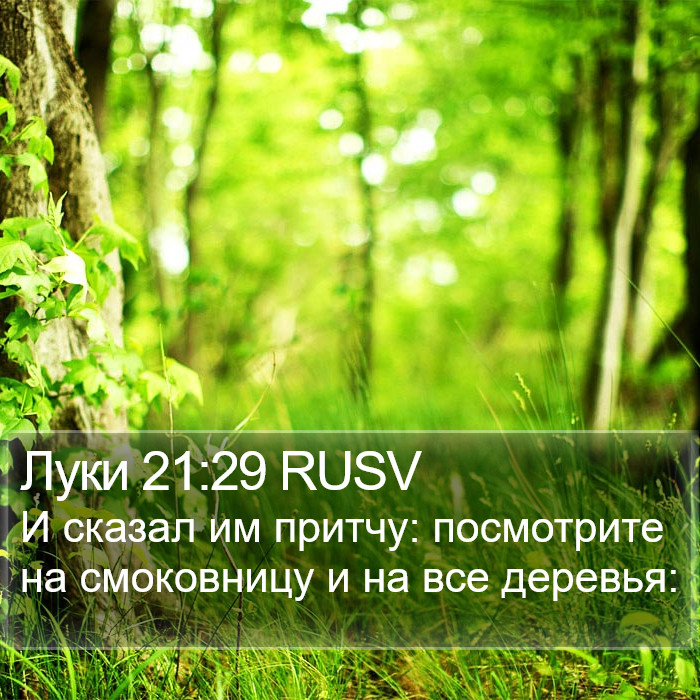 Луки 21:29 RUSV Bible Study