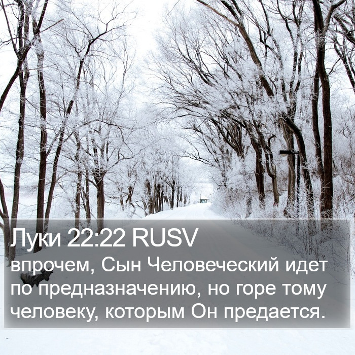 Луки 22:22 RUSV Bible Study