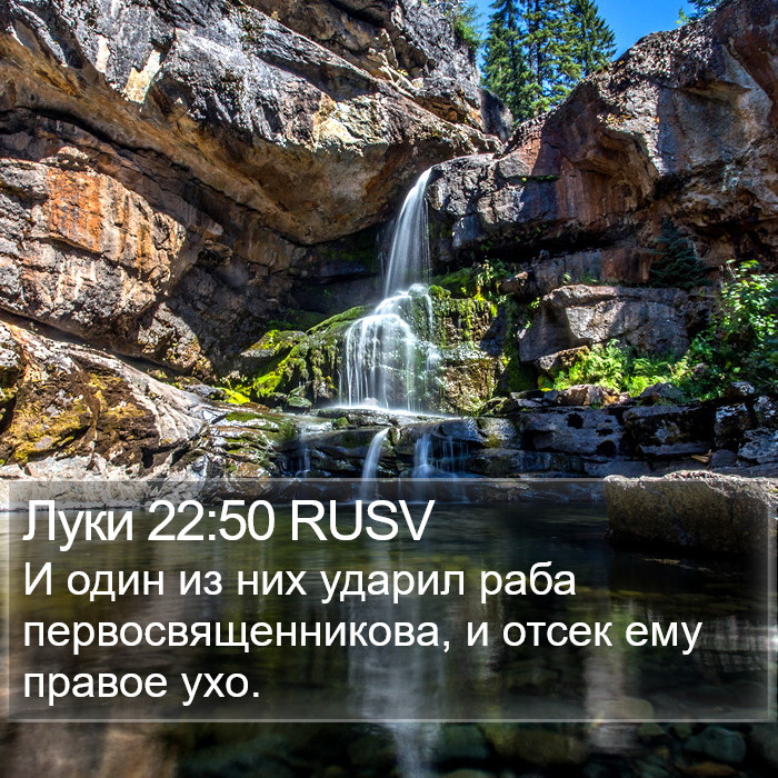 Луки 22:50 RUSV Bible Study