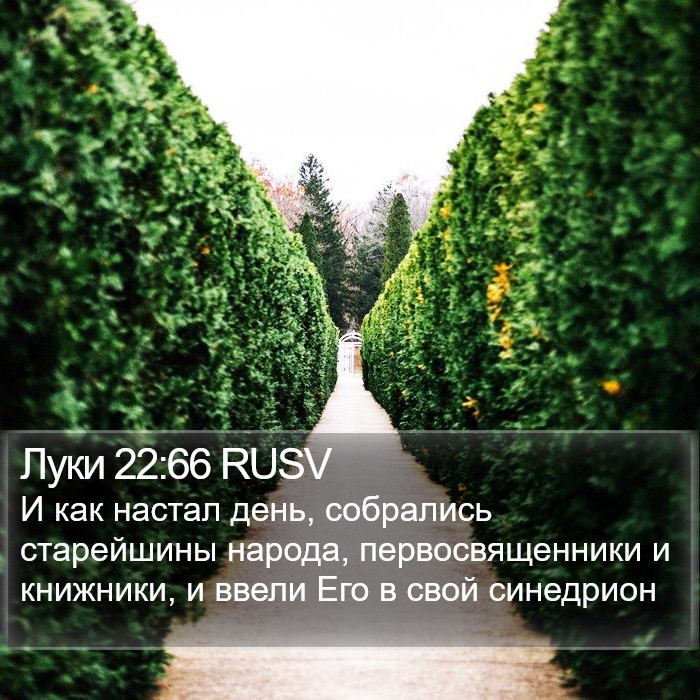 Луки 22:66 RUSV Bible Study