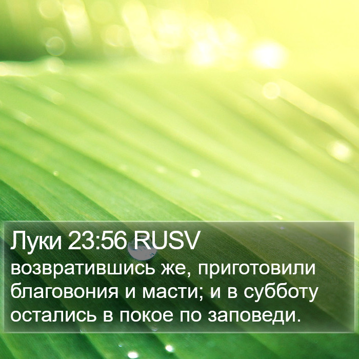 Луки 23:56 RUSV Bible Study