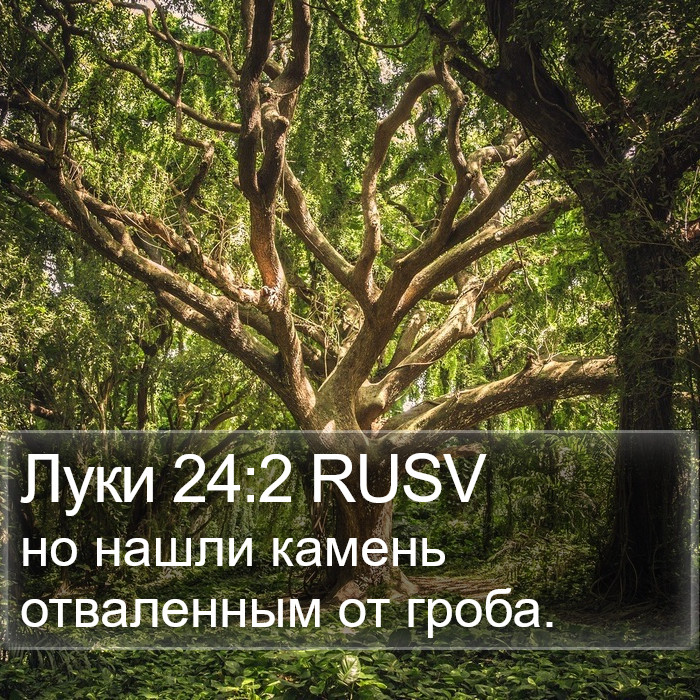 Луки 24:2 RUSV Bible Study