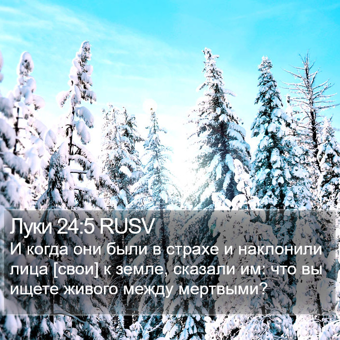 Луки 24:5 RUSV Bible Study