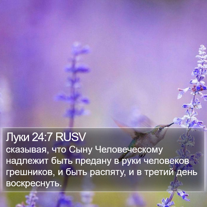 Луки 24:7 RUSV Bible Study