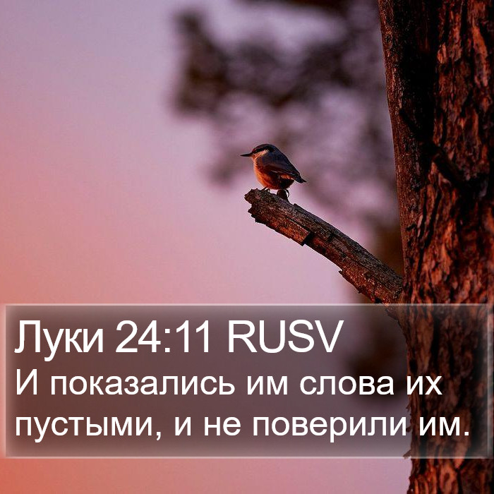 Луки 24:11 RUSV Bible Study