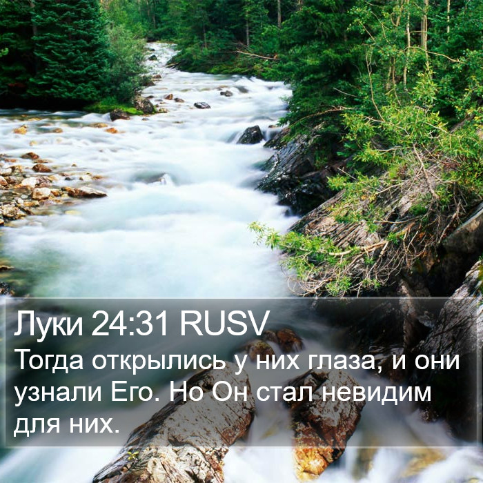 Луки 24:31 RUSV Bible Study