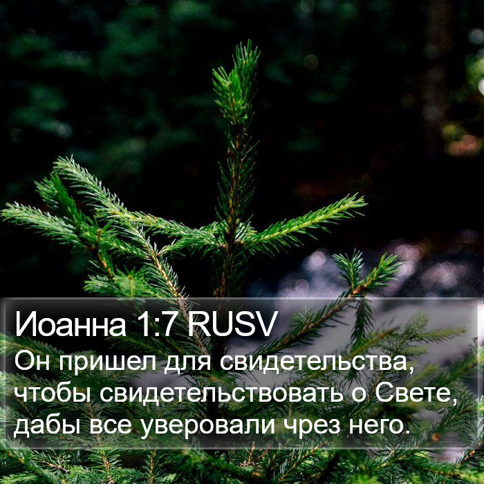 Иоанна 1:7 RUSV Bible Study