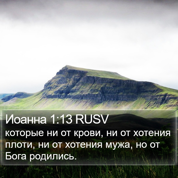 Иоанна 1:13 RUSV Bible Study