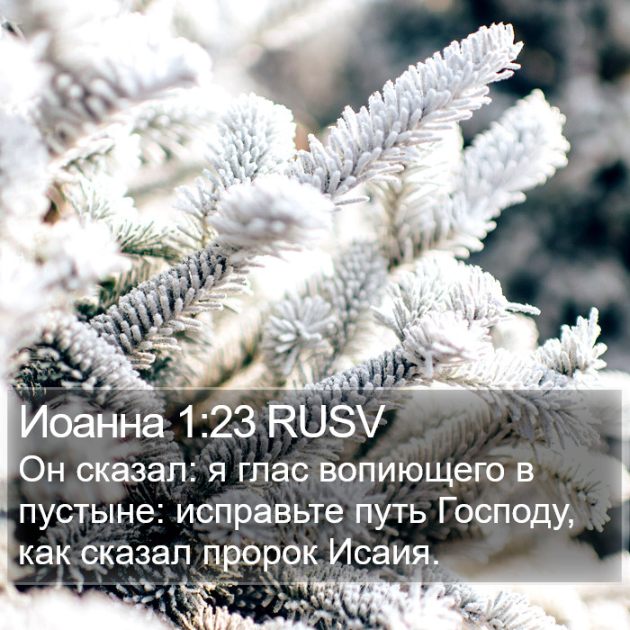 Иоанна 1:23 RUSV Bible Study