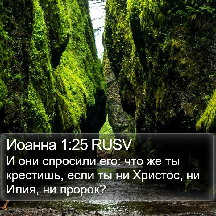 Иоанна 1:25 RUSV Bible Study