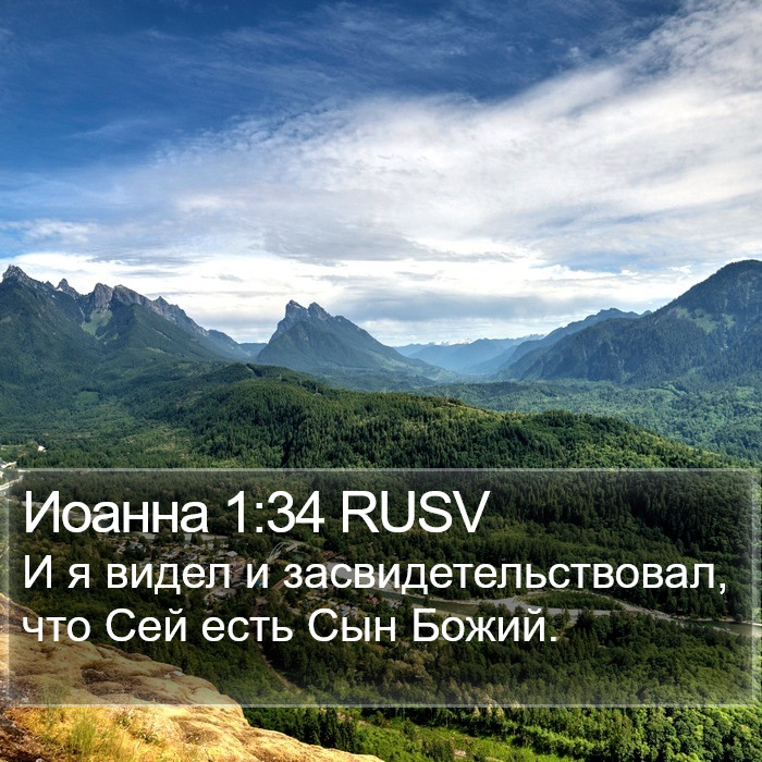 Иоанна 1:34 RUSV Bible Study