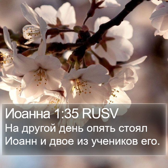 Иоанна 1:35 RUSV Bible Study