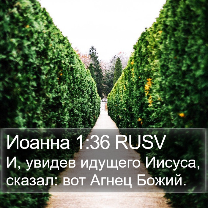 Иоанна 1:36 RUSV Bible Study