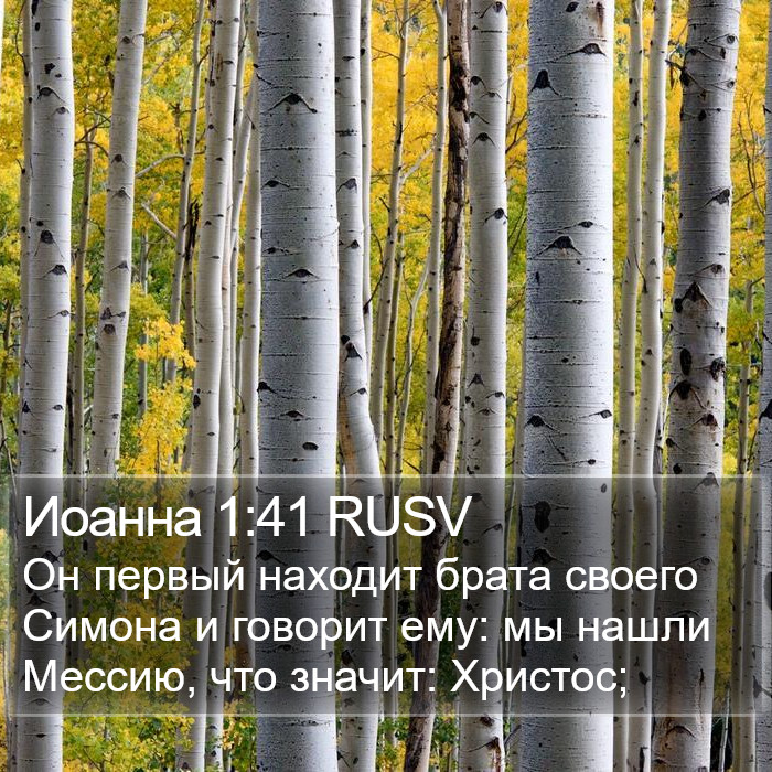 Иоанна 1:41 RUSV Bible Study