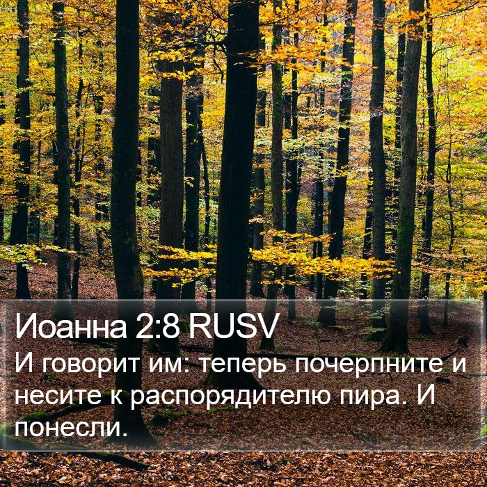 Иоанна 2:8 RUSV Bible Study