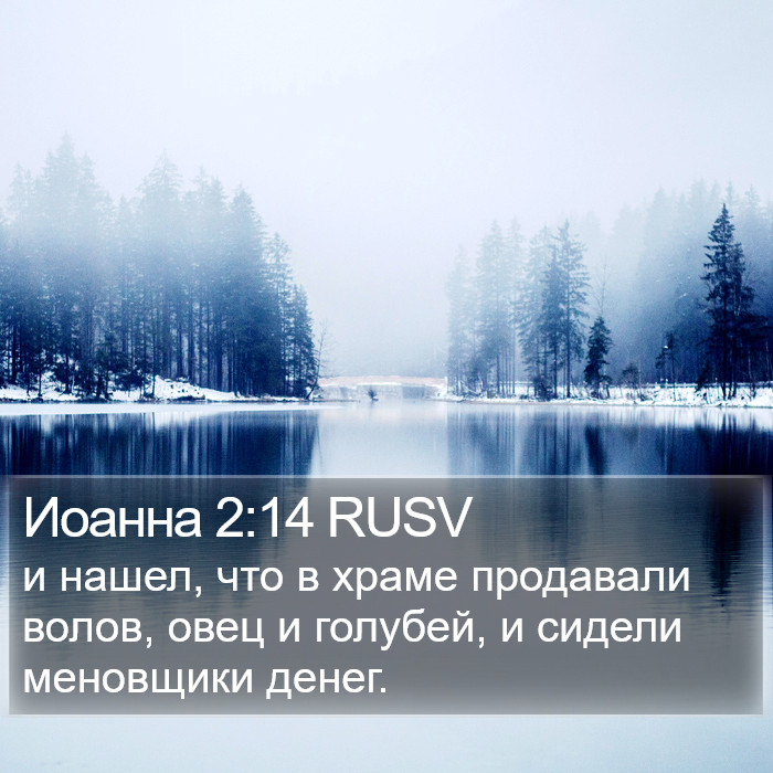 Иоанна 2:14 RUSV Bible Study