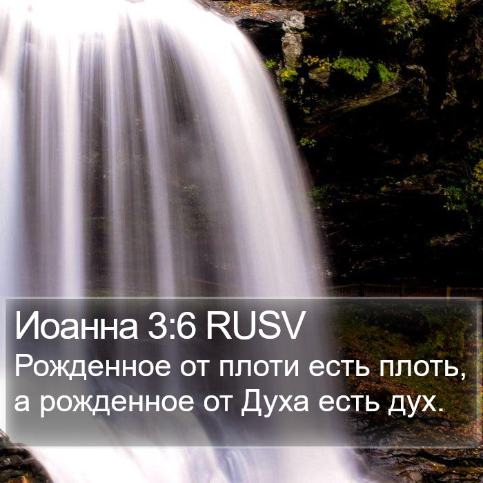 Иоанна 3:6 RUSV Bible Study