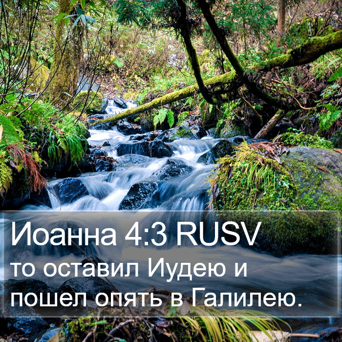 Иоанна 4:3 RUSV Bible Study