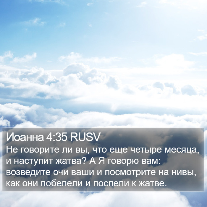 Иоанна 4:35 RUSV Bible Study