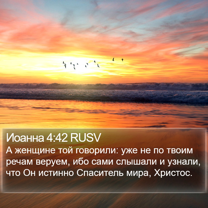 Иоанна 4:42 RUSV Bible Study