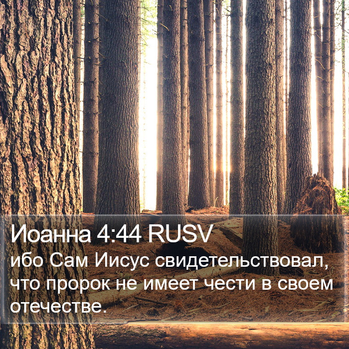 Иоанна 4:44 RUSV Bible Study