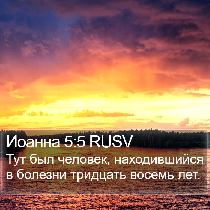 Иоанна 5:5 RUSV Bible Study