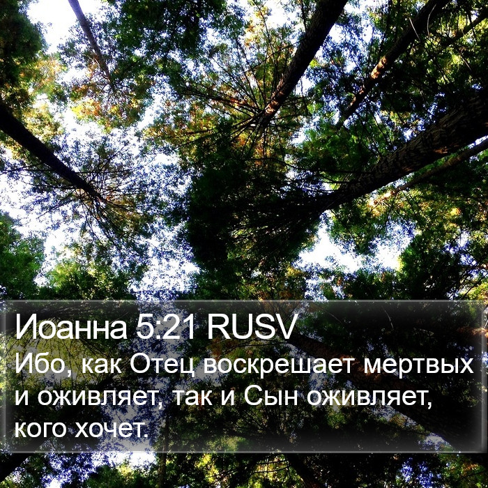 Иоанна 5:21 RUSV Bible Study