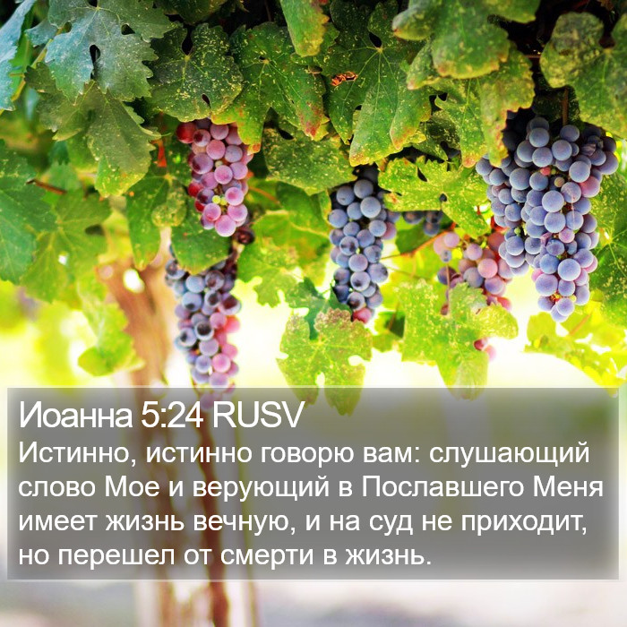 Иоанна 5:24 RUSV Bible Study