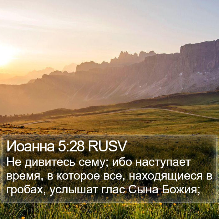 Иоанна 5:28 RUSV Bible Study
