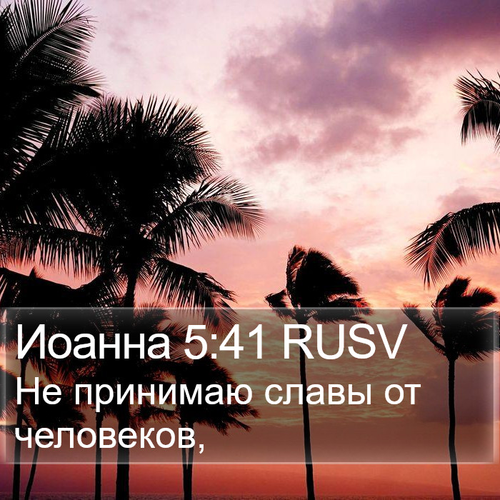 Иоанна 5:41 RUSV Bible Study