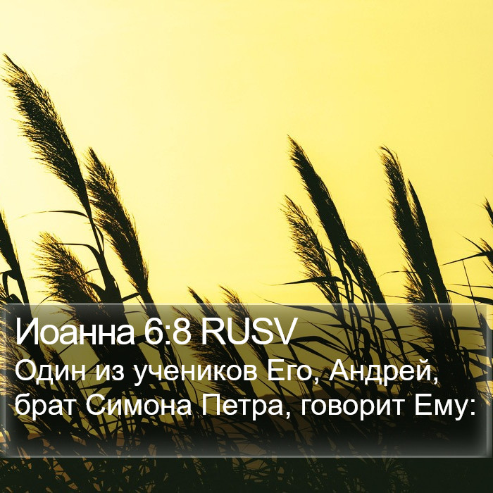 Иоанна 6:8 RUSV Bible Study