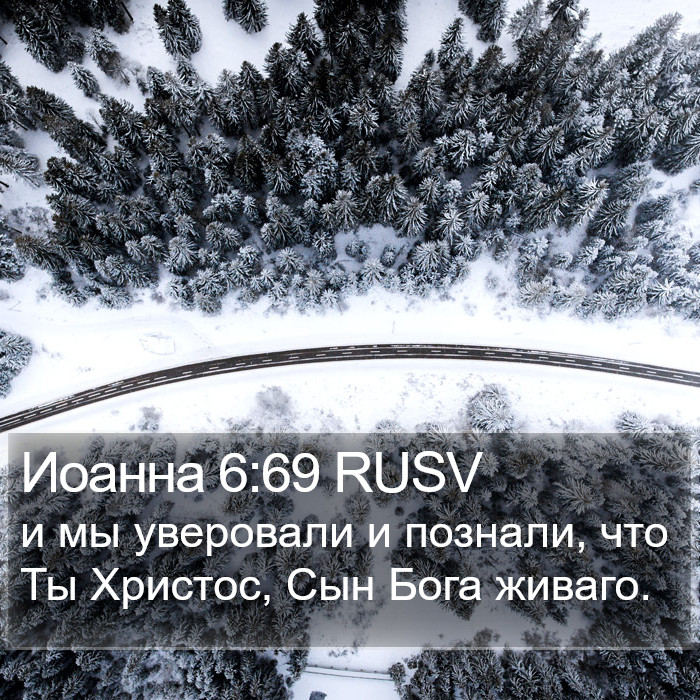 Иоанна 6:69 RUSV Bible Study