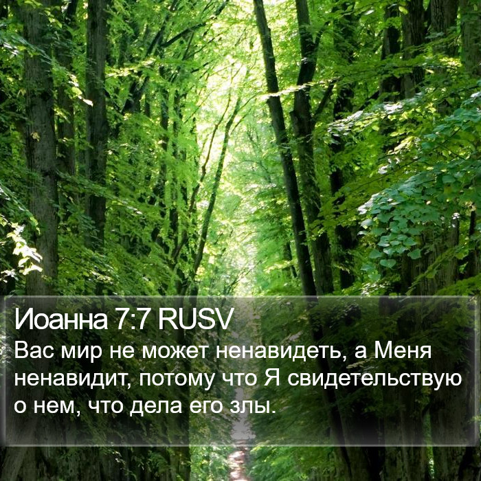 Иоанна 7:7 RUSV Bible Study