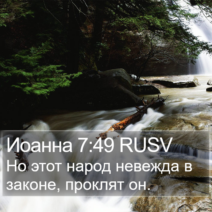 Иоанна 7:49 RUSV Bible Study